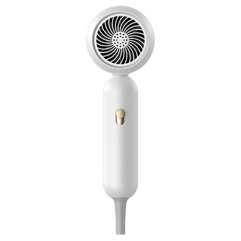 Professionele 1900W haardroger negatieve-ion hoge snelheid haardroger professionele salon blow droger
