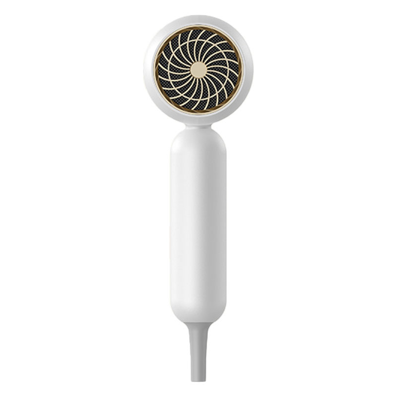 Professionele 1900W haardroger negatieve-ion hoge snelheid haardroger professionele salon blow droger