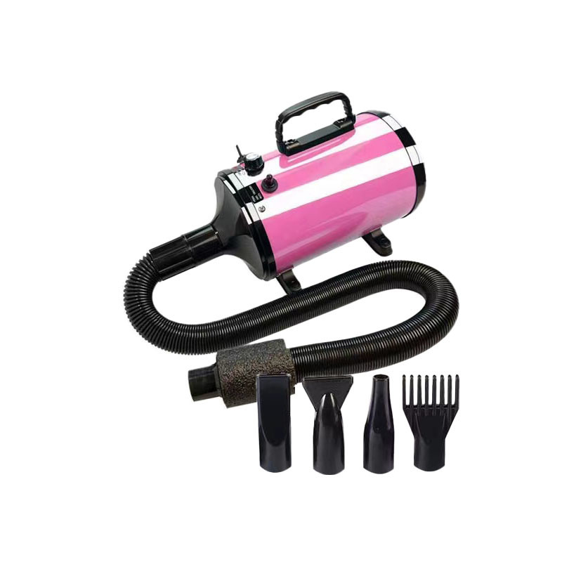 Wereldwijd aansluitingen aanpasbaar 240V Spanning Pet Blow Dryer Met hoge windsnelheid