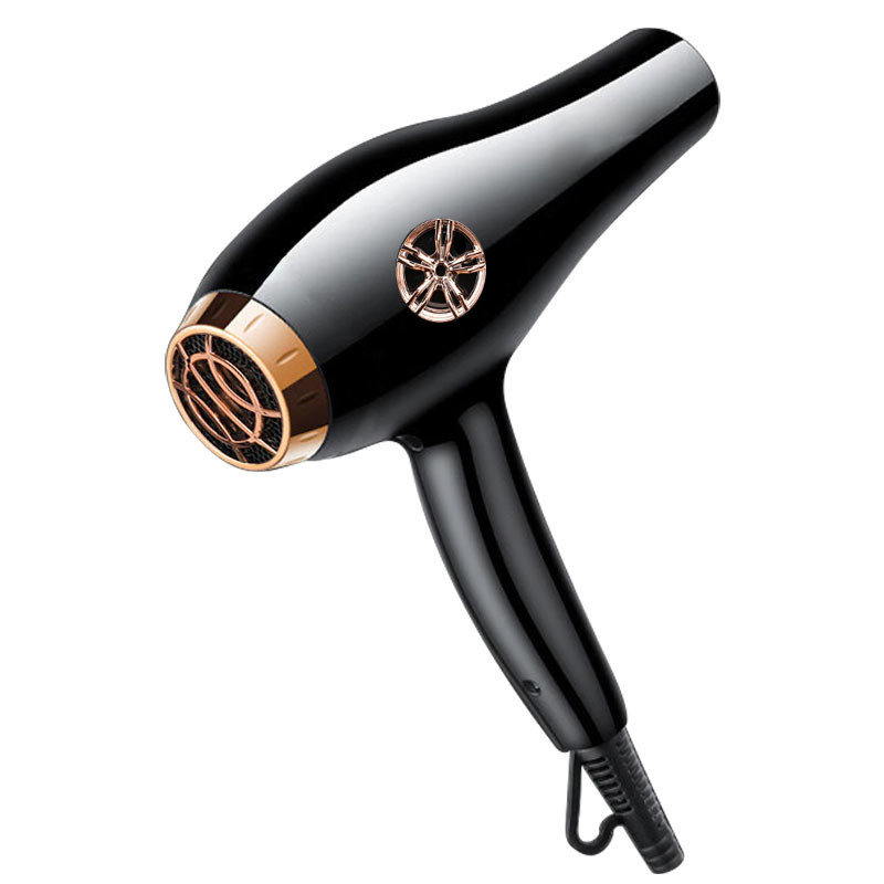 Negatieve ionen Blauw licht Krachtige warme gereedschappen Haardroger Sterke wind voor salons
