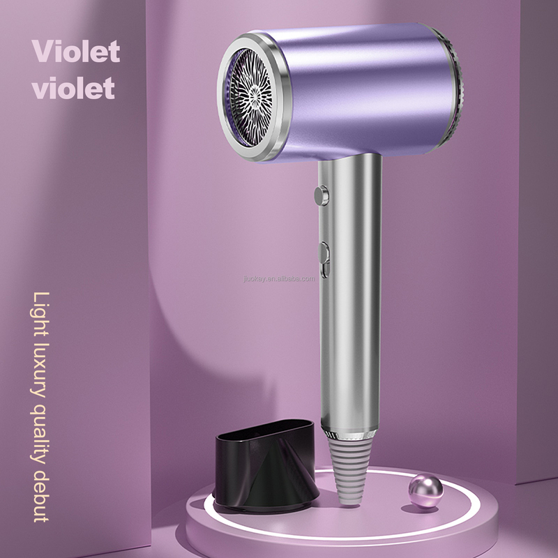 Professionele roze kleine haardroger met EU/US/ALCI/AU/UK/JP-plug-opties