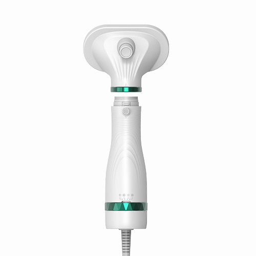 300W elektrisch mini huishoudelijk huisdier haardroger Laag geluid Katten Honden Verzorging Blower Huisdier waterblower