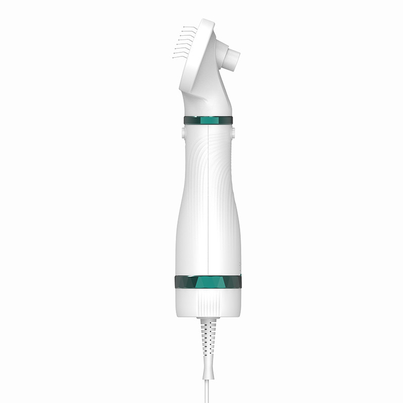 300W elektrisch mini huishoudelijk huisdier haardroger Laag geluid Katten Honden Verzorging Blower Huisdier waterblower