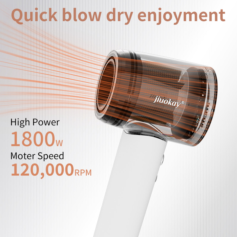 Reizen 1800W High Speed Brushless Motor Haardroger Met 110.000 Rpm En 5 miljard Plasma