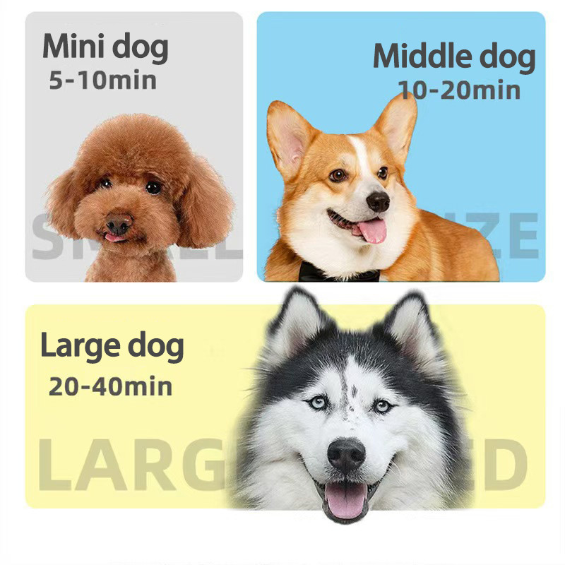 Vinnige drogen Huisdier Haardroger 4-in-1 Professionele Stil Blow Dryer voor Honden Katten Lichtgewicht Draagbaar
