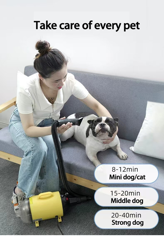 Vinnige drogen Huisdier Haardroger 4-in-1 Professionele Stil Blow Dryer voor Honden Katten Lichtgewicht Draagbaar